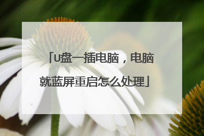 U盘一插电脑,电脑就蓝屏重启怎么处理