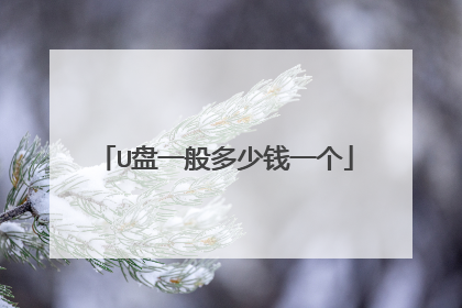 U盘一般多少钱一个