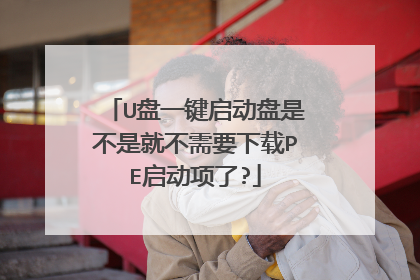 U盘一键启动盘是不是就不需要下载PE启动项了?