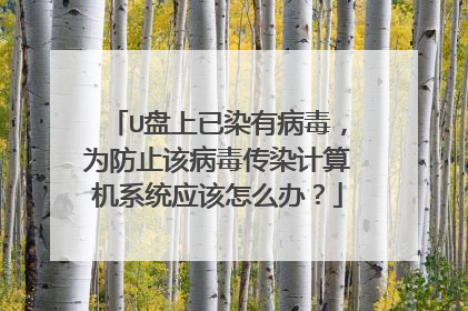 U盘上已染有病毒，为防止该病毒传染计算机系统应该怎么办？