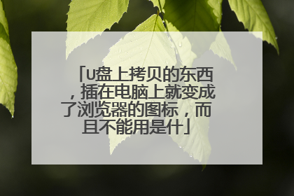 U盘上拷贝的东西,插在电脑上就变成了浏览器的图标,而且不能用是什