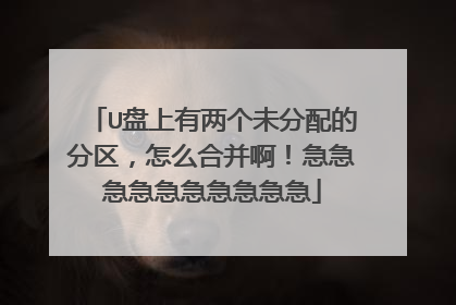 U盘上有两个未分配的分区,怎么合并啊!急急急急急急急急急急
