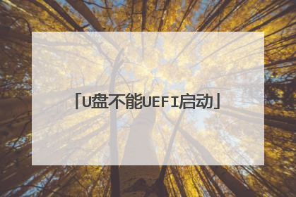 U盘不能UEFI启动