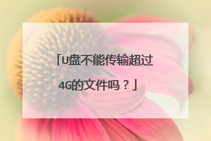 U盘不能传输超过4G的文件吗?