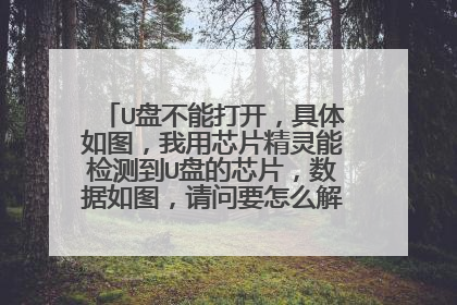 U盘不能打开,具体如图,我用芯片精灵能检测到U盘的芯片,数据如图,请问要怎么解决这个问题呢