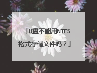U盘不能用NTFS格式存储文件吗？