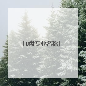 U盘专业名称
