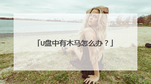 U盘中有木马怎么办?
