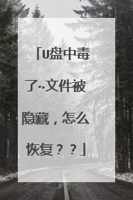 U盘中毒了~文件被隐藏,怎么恢复??