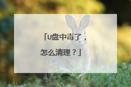 U盘中毒了，怎么清理？