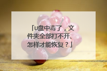 U盘中毒了,文件夹全部打不开、怎样才能恢复?