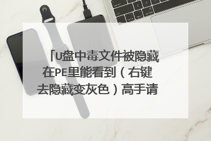 U盘中毒文件被隐藏在PE里能看到(右键去隐藏变灰色)高手请指教开隐藏?