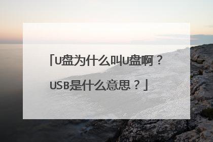 U盘为什么叫U盘啊?USB是什么意思?