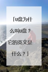 U盘为什么叫U盘?它的英文是什么?