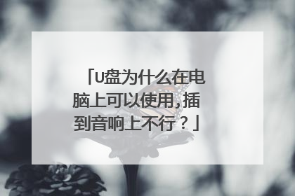 U盘为什么在电脑上可以使用,插到音响上不行?