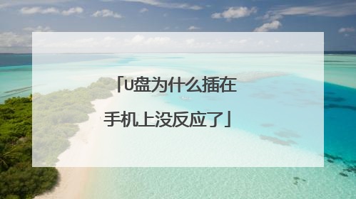 U盘为什么插在手机上没反应了