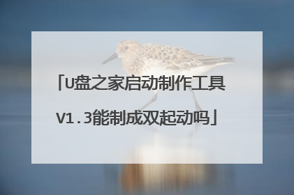 U盘之家启动制作工具 V1.3能制成双起动吗