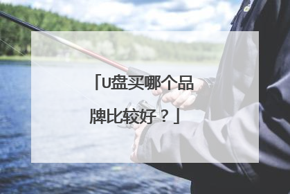 U盘买哪个品牌比较好？