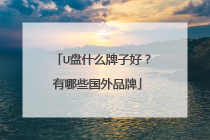 U盘什么牌子好?有哪些国外品牌