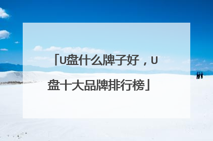 U盘什么牌子好,U盘十大品牌排行榜