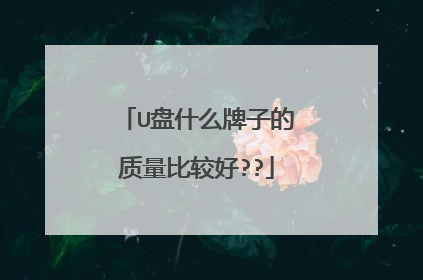 U盘什么牌子的质量比较好??