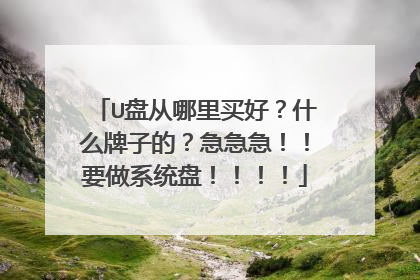U盘从哪里买好?什么牌子的?急急急!!要做系统盘!!!!