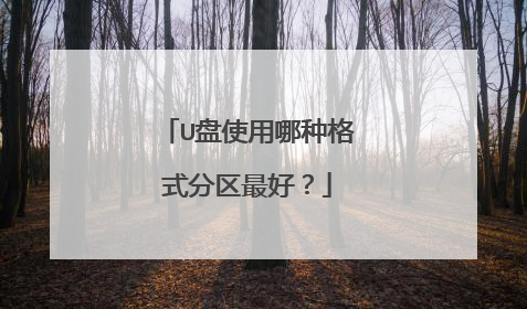 U盘使用哪种格式分区最好?