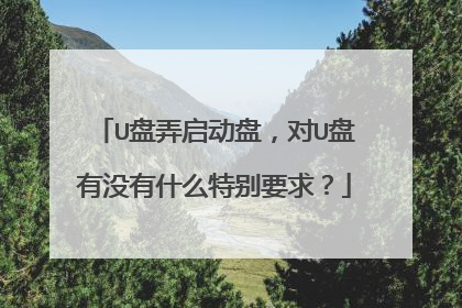 U盘弄启动盘，对U盘有没有什么特别要求？