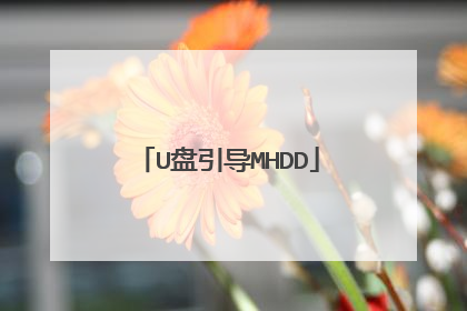 U盘引导MHDD