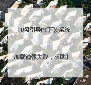 U盘引导PE下装系统加载镜像失败,求助