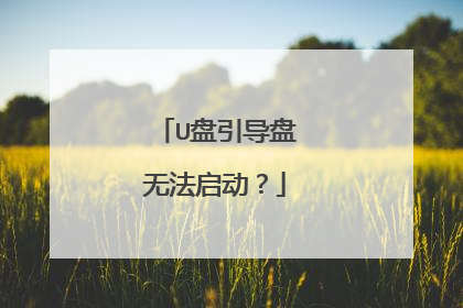 U盘引导盘无法启动?