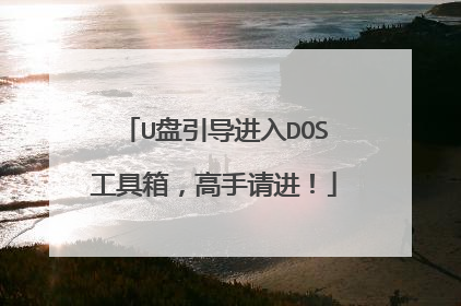 U盘引导进入DOS工具箱，高手请进！