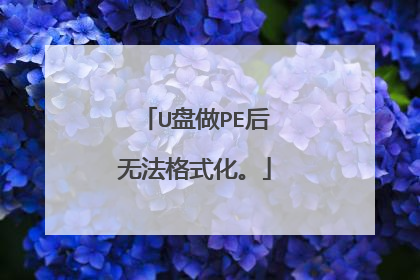 U盘做PE后无法格式化。
