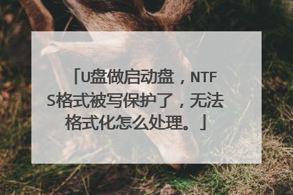 U盘做启动盘,NTFS格式被写保护了,无法格式化怎么处理。
