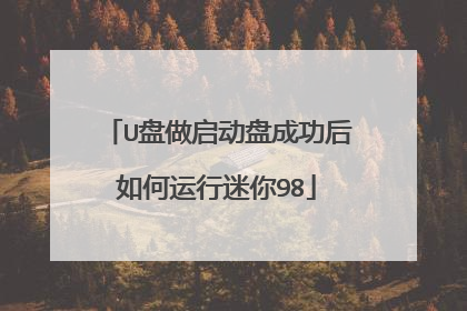 U盘做启动盘成功后如何运行迷你98