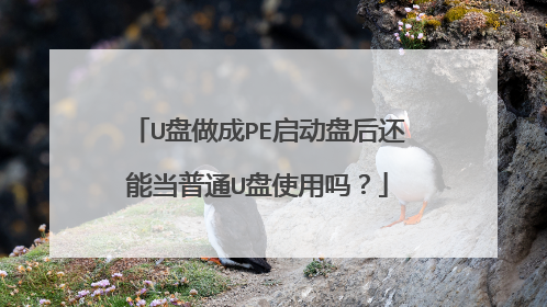 U盘做成PE启动盘后还能当普通U盘使用吗?