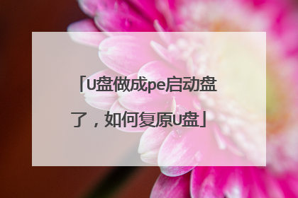 U盘做成pe启动盘了,如何复原U盘
