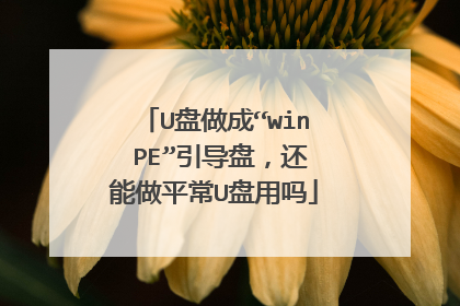 U盘做成“win PE”引导盘,还能做平常U盘用吗