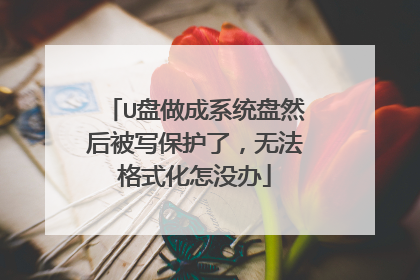 U盘做成系统盘然后被写保护了，无法格式化怎没办