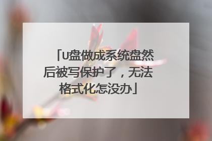 U盘做成系统盘然后被写保护了,无法格式化怎没办