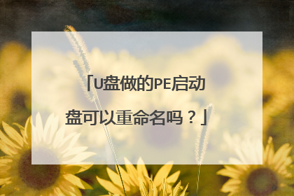 U盘做的PE启动盘可以重命名吗?