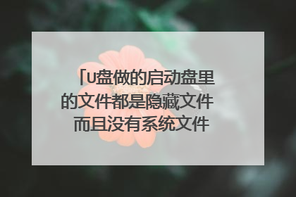 U盘做的启动盘里的文件都是隐藏文件 而且没有系统文件 怎么办啊
