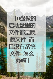 U盘做的启动盘里的文件都是隐藏文件 而且没有系统文件 怎么办啊