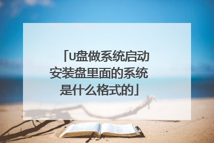 U盘做系统启动安装盘里面的系统是什么格式的