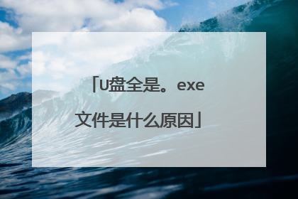 U盘全是。exe文件是什么原因