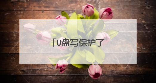 U盘写保护了怎么去掉?