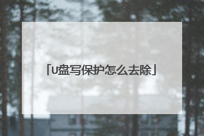 U盘写保护怎么去除