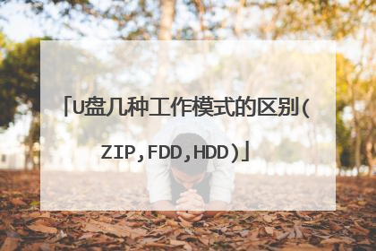 U盘几种工作模式的区别(ZIP,FDD,HDD)
