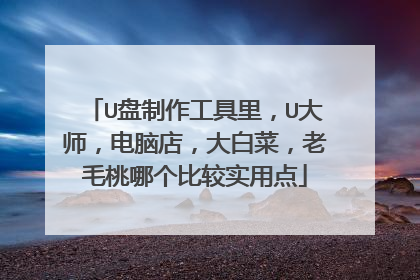 U盘制作工具里，U大师，电脑店，大白菜，老毛桃哪个比较实用点