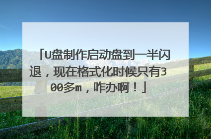 U盘制作启动盘到一半闪退,现在格式化时候只有300多m,咋办啊!